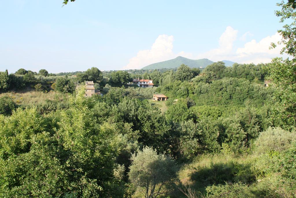 Casale Aurora Villa Viterbo Rom bilde